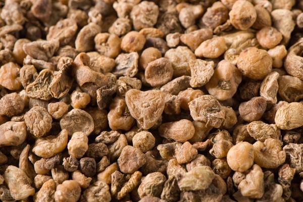 山慈菇，抗腫瘤，清熱解毒、消癰散結