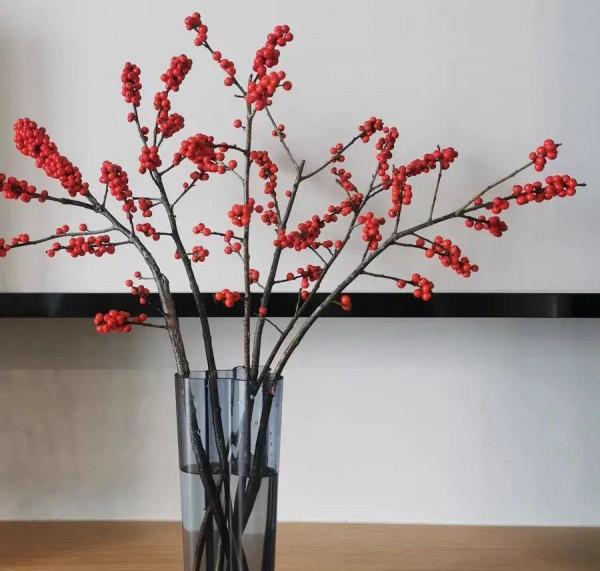 年宵花中的&OpenCurlyDoubleQuote;愛馬仕&rdquo;，紅果子掛滿枝，紅紅火火大吉大利