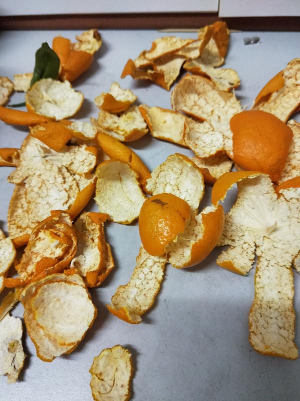 這些“垃圾”不要扔，用來養花效果好，既環保又省錢