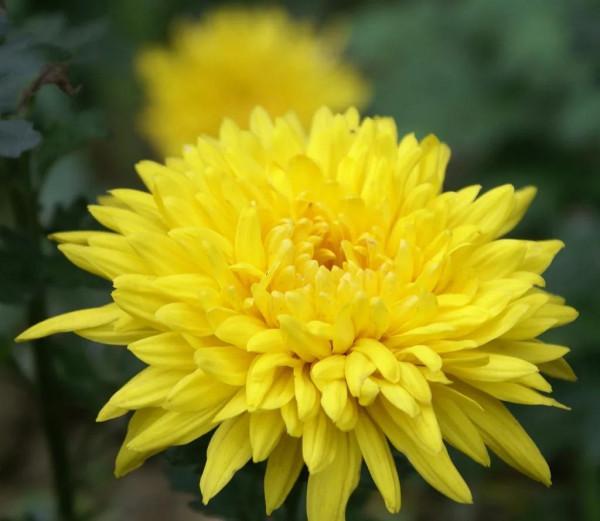 來,看看領袖們的詩誰更“槓槓的” 來,看看領袖們的詩誰更“槓槓的”