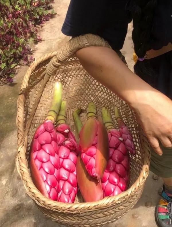 這些“陌生的水果”,雖然一個都不認識,但它們看起來很好吃 這些“陌生的水果”,雖然一個都不認識,但它們看起來很好吃