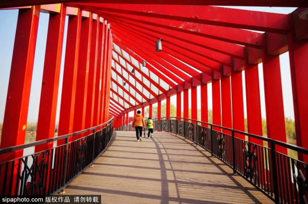 中秋沒搶到票？環球影城周邊超多免費“巨無霸”公園任你逛！