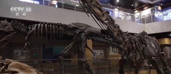 如何還原這些消失的朋友？恐龍畫像是這麼來的