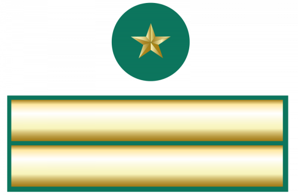 智利警銜標識 智利警銜標識