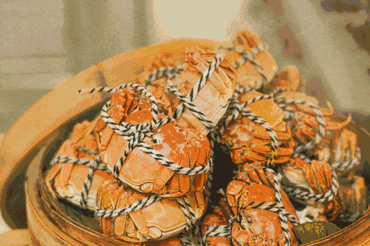 活煮螃蟹太殘忍？英國科學家發現：螃蟹能感知疼痛，呼籲別活煮