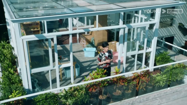 楊紫井柏然新家曝光！在陽光房裡聊工作，在沙發上談戀愛，太甜了