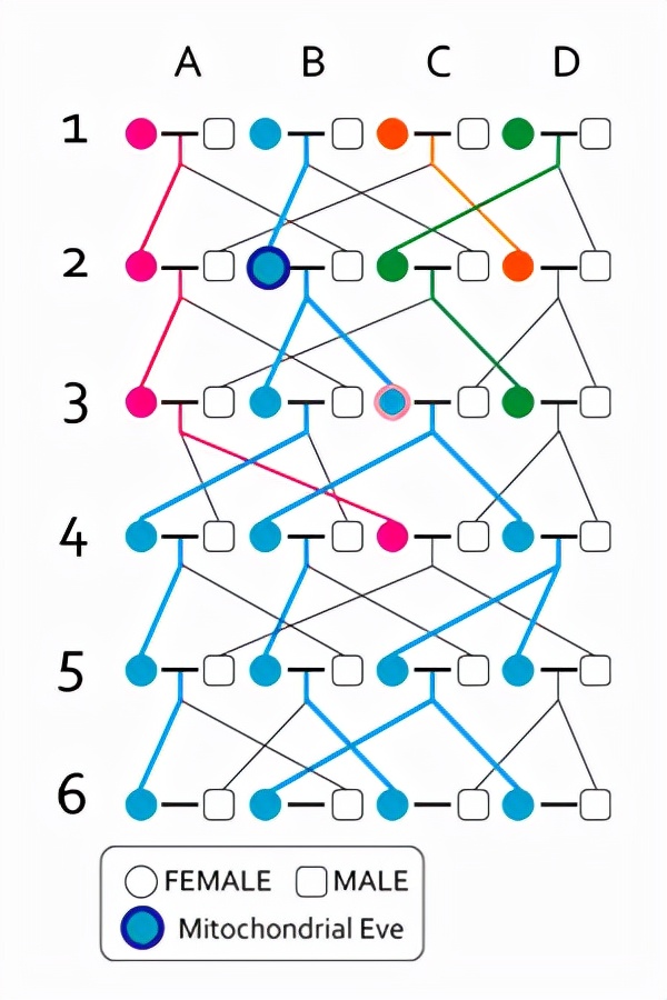 31省份鄉村性別比例公佈，全部男多女少，生男生女有無科學依據？