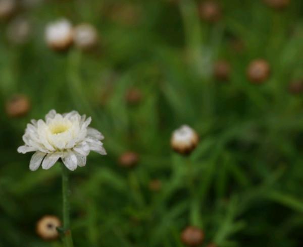 有本事,卻很低調的星座,表面沉默寡言,實際上有手段 有本事,卻很低調的星座,表面沉默寡言,實際上有手段