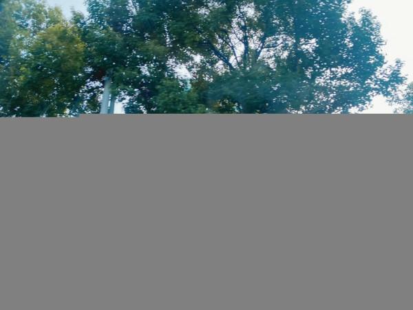 廣州的“偏遠”郊區,以溫泉著稱,好多人卻覺得這裡已經不是廣州 廣州的“偏遠”郊區,以溫泉著稱,好多人卻覺得這裡已經不是廣州