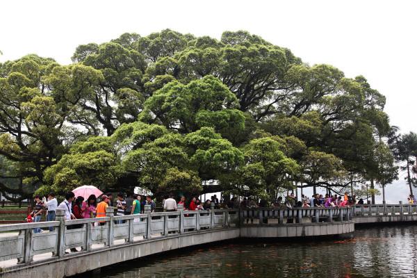 福建冷知識:關於福建的25個世界之最和中國之最,你知道幾個? 福建冷知識:關於福建的25個世界之最和中國之最,你知道幾個?