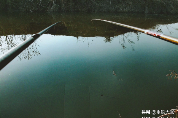 傳統釣長竿短線，多短才是短？3種長度，最短不足2米