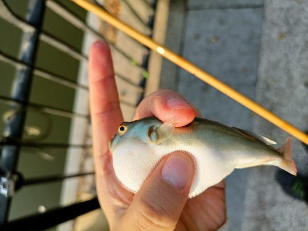 苦守大魚不如改變釣法，說不定也會有驚喜