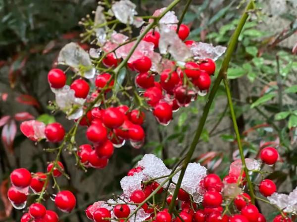 最高階的養生是養心