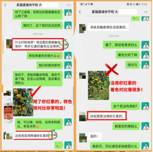8元/斤!愛媛/紅美人著色很好,收購商天天來我果園參觀詢價 8元/斤!愛媛/紅美人著色很好,收購商天天來我果園參觀詢價