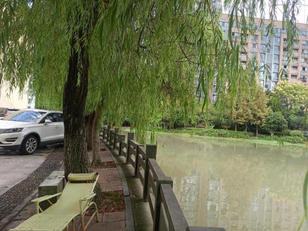 釣魚：半輩子找餌，一輩子找位，有什麼好處？