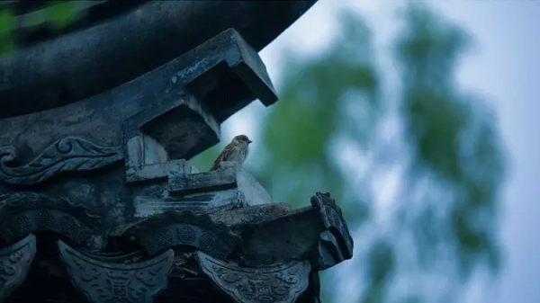 江湖沒了金庸,金庸的江湖卻一直都在 江湖沒了金庸,金庸的江湖卻一直都在