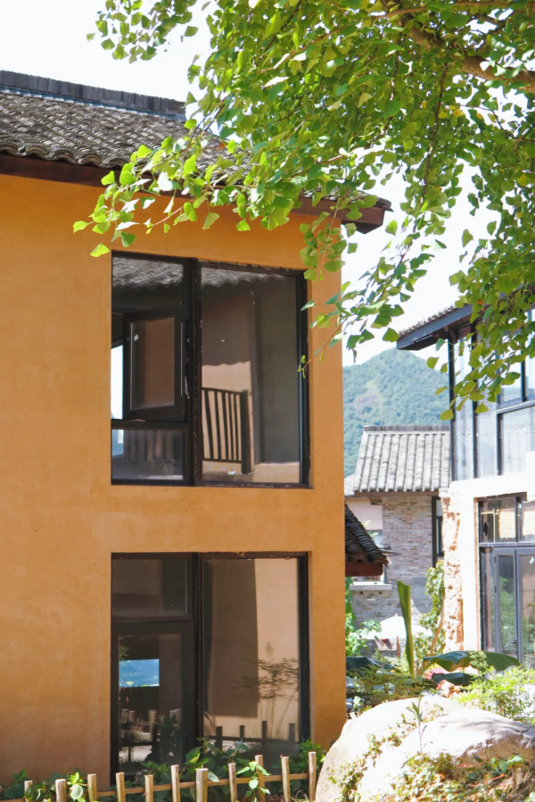 700年神秘古村落意外走紅！霧海竹林萬畝，24h鮮氧環繞，宛若仙境