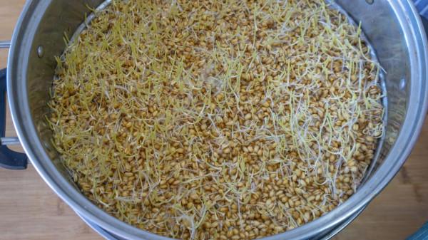 我家從來不買零食，6種自制小零食，沒有烤箱也能做，越嚼越香