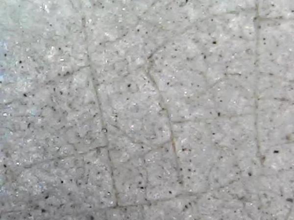 成化鬥彩，真的很難懂嗎？