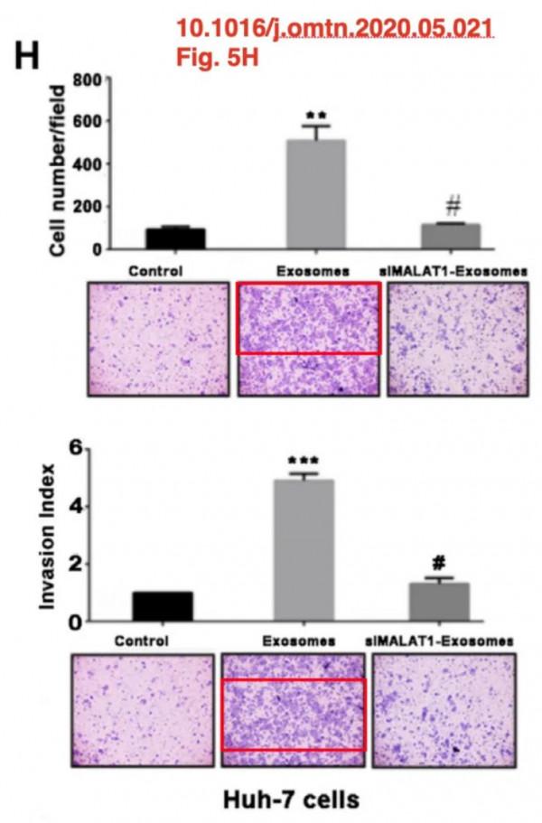 中國醫科大學附屬第四醫院等聯合發表的高分論文因圖片重疊遭質疑