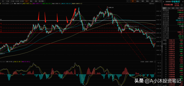 醫療本週大漲8&percnt;，白酒行情還未結束！重倉的朋友看過來