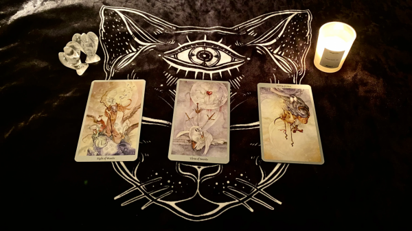 2022&period;01事業運勢：白羊座錯失機會受阻礙，金牛座情緒混亂欲突破