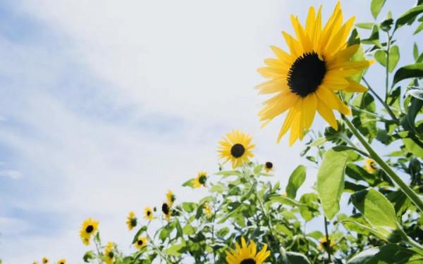 「薦讀」改變自己,從管理情緒開始 「薦讀」改變自己,從管理情緒開始