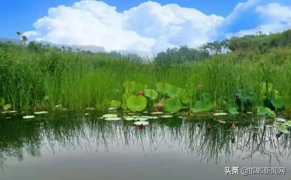 小小手套加工坊，點亮農婦增收夢