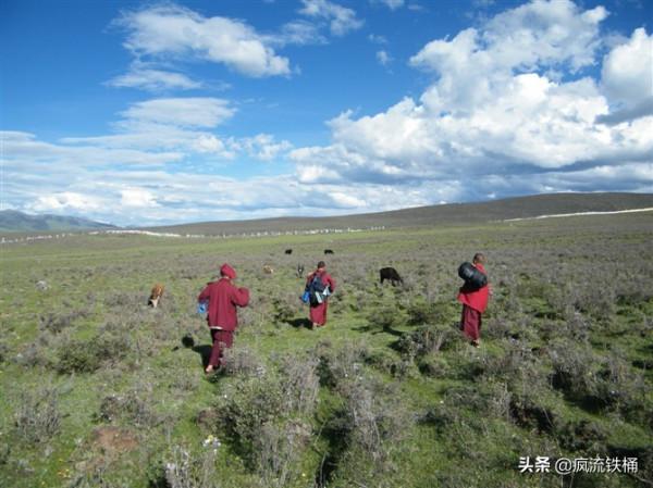 徒步西藏第29天:投宿無門,被山谷中的藏傳佛學院收留 徒步西藏第29天:投宿無門,被山谷中的藏傳佛學院收留