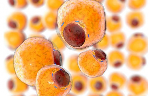 冬天正面穿,夏天反面穿,真有冬暖夏涼的衣服? 冬天正面穿,夏天反面穿,真有冬暖夏涼的衣服?