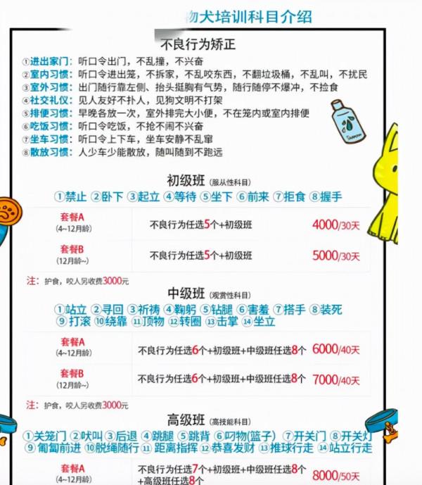 沒孩子的年輕人,送寵物去上學 沒孩子的年輕人,送寵物去上學