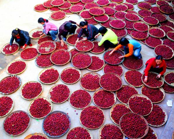 稷山“四寶”：麻花餅子雞蛋棗