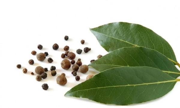 “吳剛伐桂”伐的到底是什麼桂？