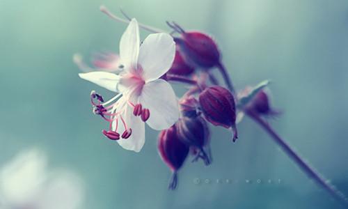 為了孩子的人生旅程，不能和孩子一般見識