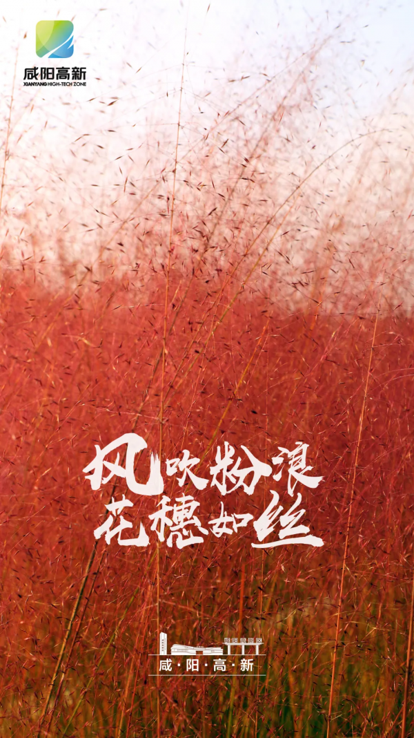 高新的秋天,每一張都是桌布! 高新的秋天,每一張都是桌布!