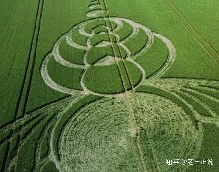 我們是外星人嗎？