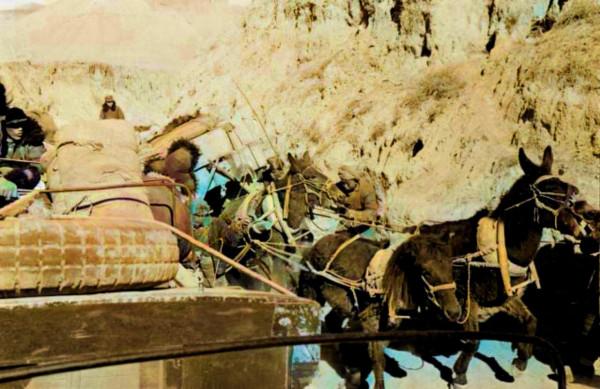 老照片-青海(AI上色對比版-13) 老照片-青海(AI上色對比版-13)