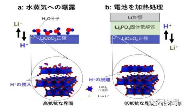 「東瀛24小時・20220207」中國首次成為日本食品最大出口物件國