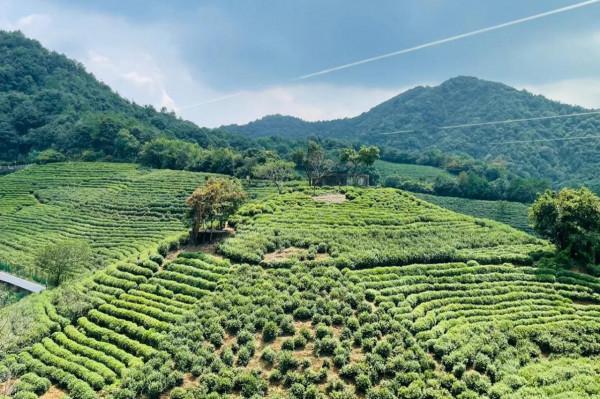 有一天孩子問,你們讓我改掉的壞毛病我都改了,為啥你們不改 有一天孩子問,你們讓我改掉的壞毛病我都改了,為啥你們不改