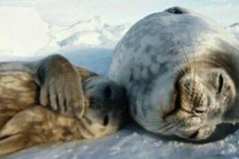 冬天雖冷,因為有你相擁而溫暖 冬天雖冷,因為有你相擁而溫暖