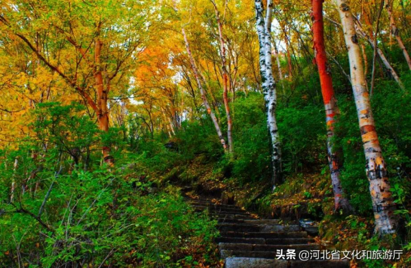 千萬別在秋天來白石山！