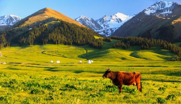 新疆,一個美麗而神秘的世外桃源,隨處都是讓人流連忘返的美景 新疆,一個美麗而神秘的世外桃源,隨處都是讓人流連忘返的美景