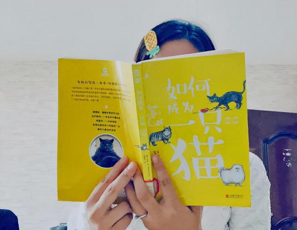 用鼻子蹭你相當於親吻?貓:人類,你們還是太年輕了 用鼻子蹭你相當於親吻?貓:人類,你們還是太年輕了