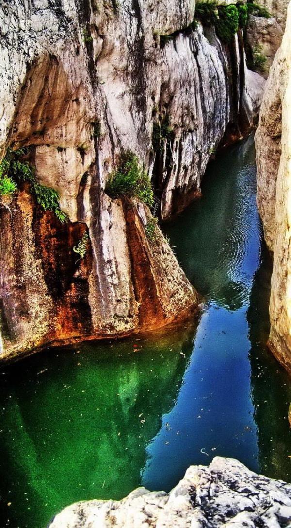 120000畝，河南這個第一大儲存很完好的原始森林，瀑布如霧似幻