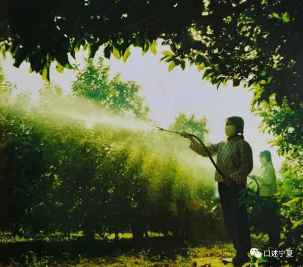 簡泉農場：那些年 那些事（上）