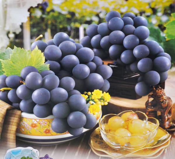 秋季常吃4種補血的食物,或具有良好的美容養顏、益氣補血的功效 秋季常吃4種補血的食物,或具有良好的美容養顏、益氣補血的功效