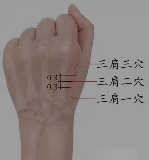 中醫針灸肩部疾病處方1 中醫針灸肩部疾病處方1