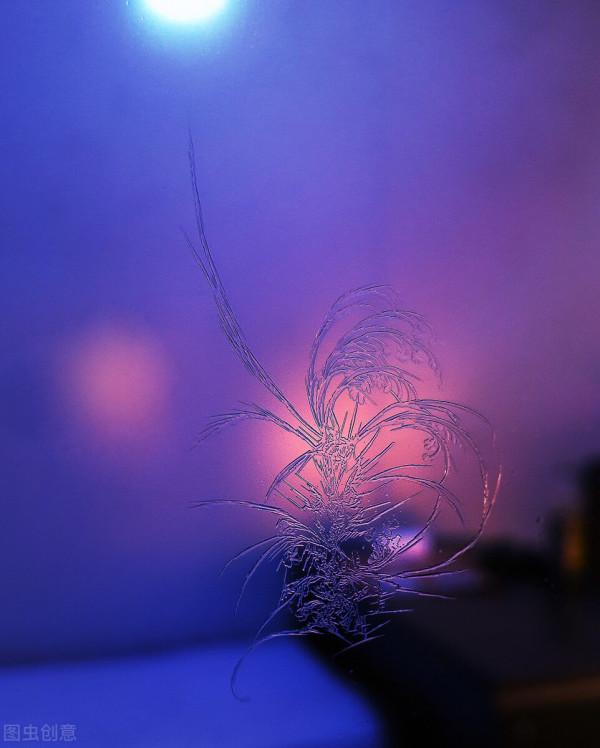 關於生命的思考：人活著，除了自己的生活，什麼才是真正的意義？