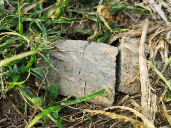 摩托周邊旮旯遊——尋朱元璋出家之於皇寺 摩托周邊旮旯遊——尋朱元璋出家之於皇寺