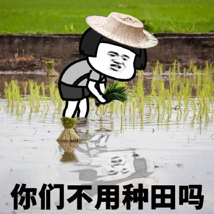 公元320年丨石勒的治國理政